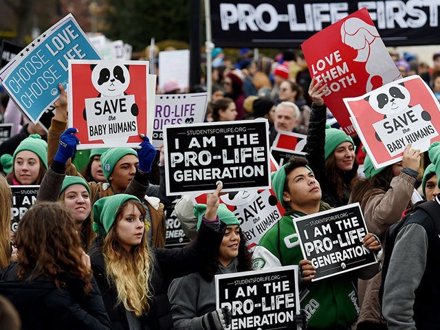 Poll: More Voters Support Than Oppose a 15-Week Abortion Ban