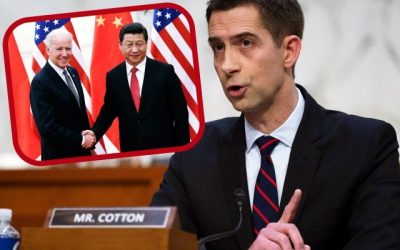 Tom Cotton Demands Joe Biden Explain Why He Eliminated U.S. Tariffs on China