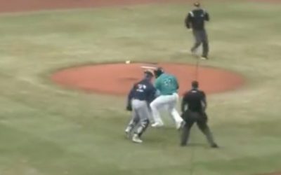 WATCH: Minor Leaguers Duke it Out in Wild Melee