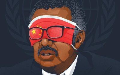 China reports first human case of H3N8 bird flu…