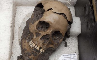 Police found 150 skulls at a “crime scene” in Mexico. It turns out the victims, mostly women, were ritually decapitated over 1,000 years ago.