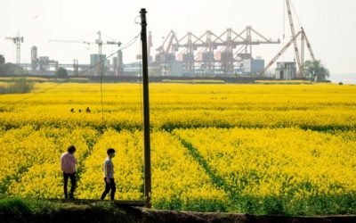 Nervous China Pressures Farmers to Prepare for More Crops