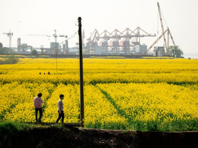 Nervous China Pressures Farmers to Prepare for More Crops
