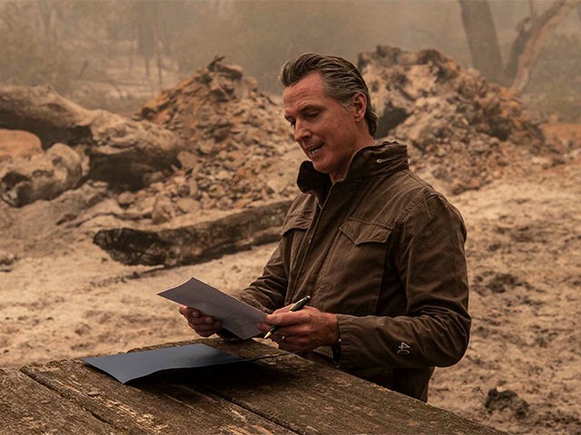 Report: Gavin Newsom’s Wildfire Prevention Program Has Not Completed a Single Project