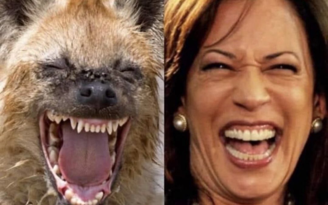 Kamala is taking the Pfizer pill…