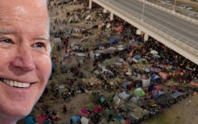 1.9 million illegal immigrants apprehended at US-Mexico border in 2021, at a cost of $10 billion