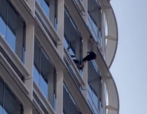 Some dude is free climbing the Salesforce skyscraper in San Fran right now…