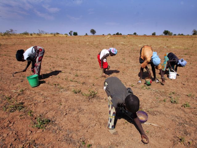 African Food Prices Spiking Amid Ukraine War, Russia Sanctions
