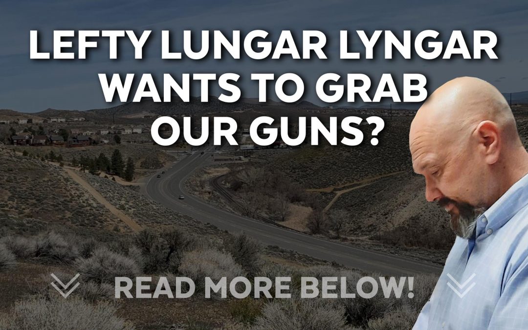Lefty Lungar Lyngar Wants To Grab Our Guns?