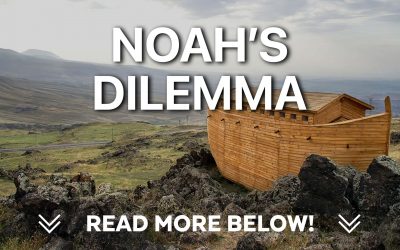 Noah’s Dilemma