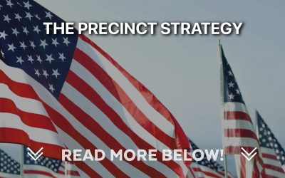 The Precinct Strategy