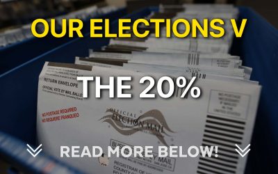 Our Elections V – The 20%